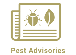Pest Advisories