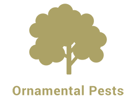 Ornamental Pests